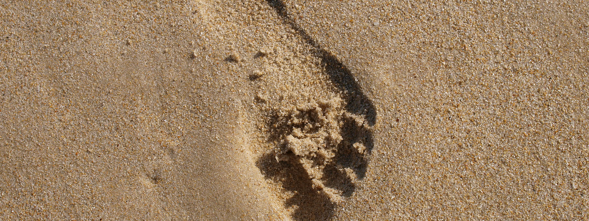 Create Without Limits